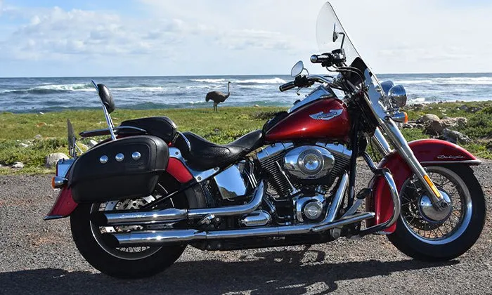 2-Hour Coastal Harley Davidson Tour